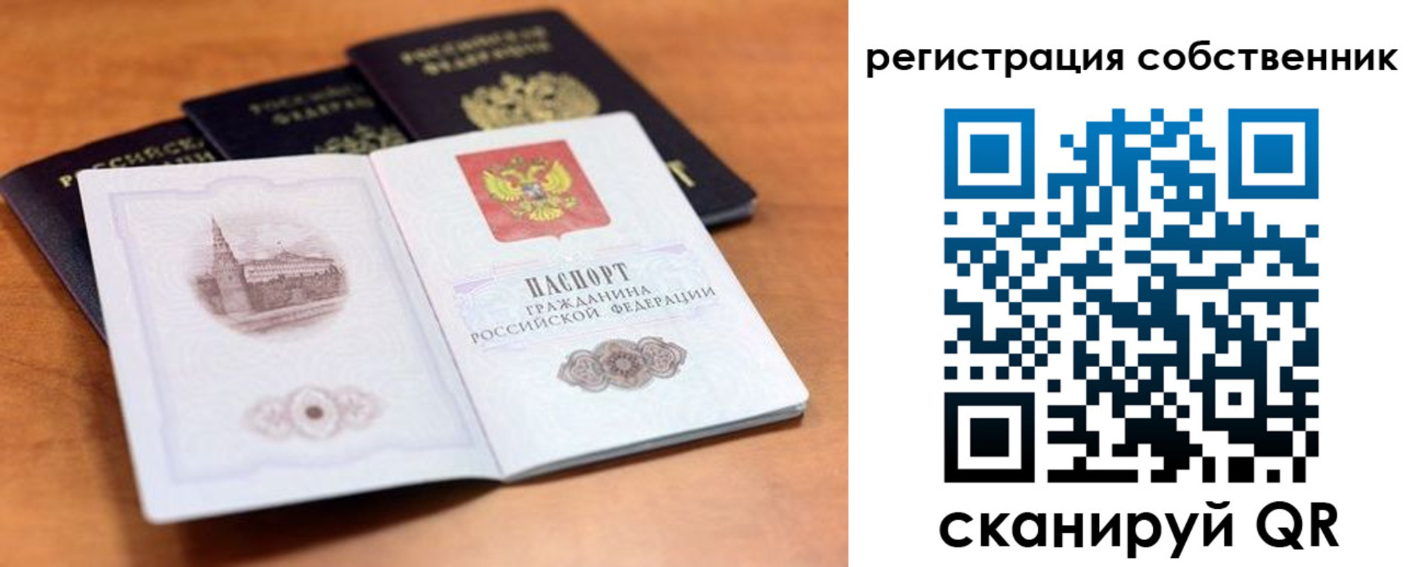 временная регистрация 2025 в Алексине